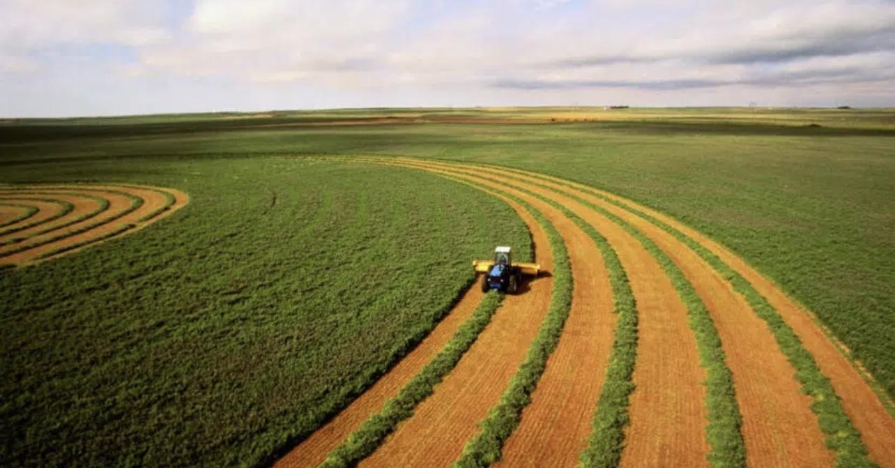 Agroindústria brasileira tem boas perspectivas para 2023 